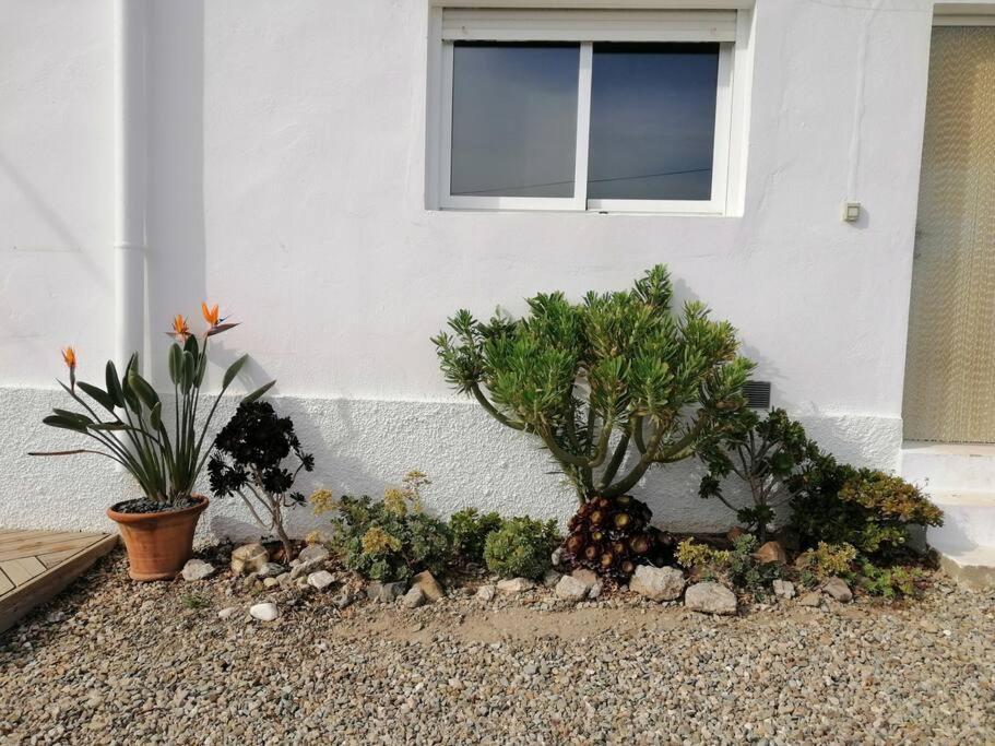 Villa Casa Jardin. Vivienda Rural En Zona Tranquila. Lucainena de las Torres Exterior foto